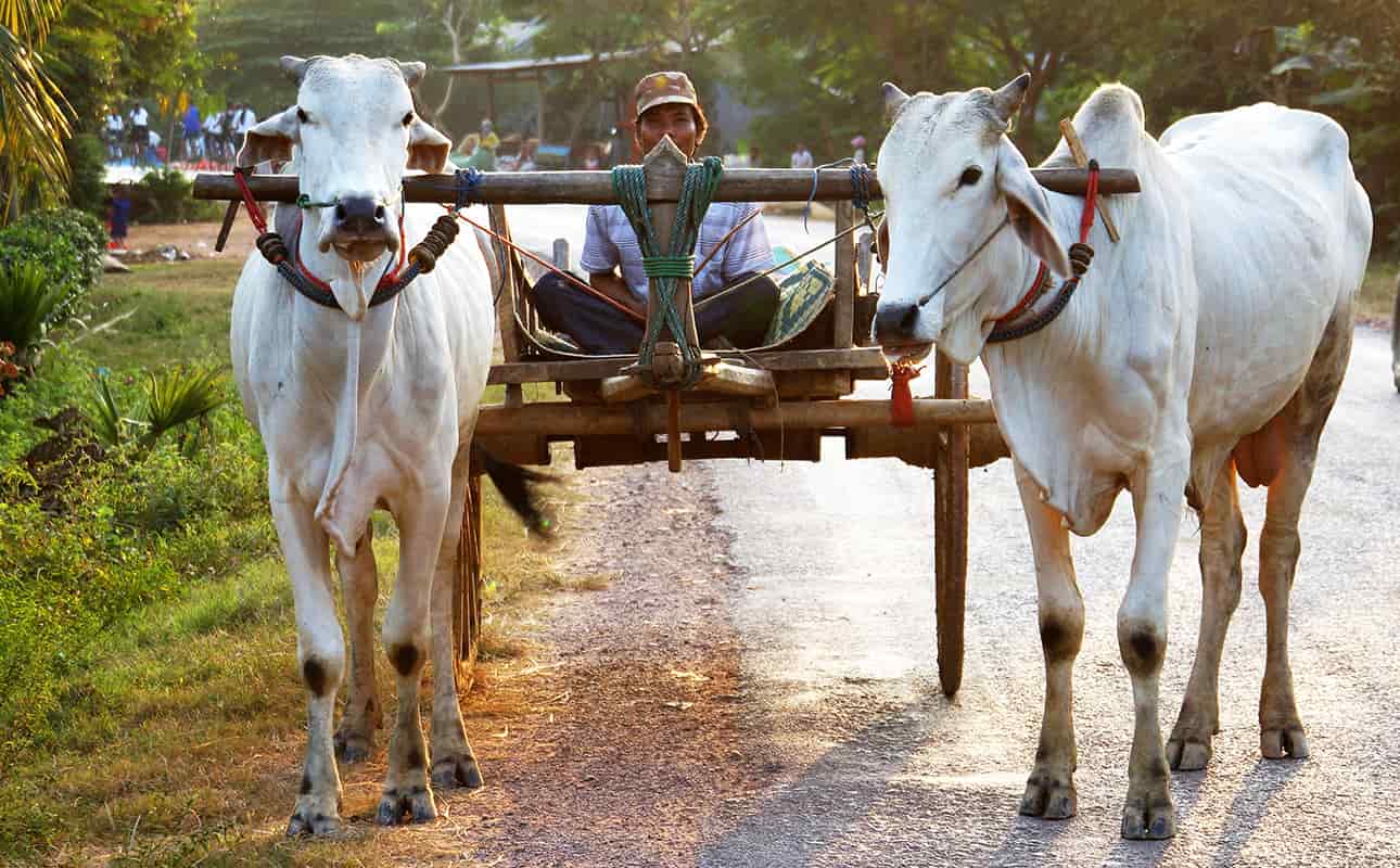 From Sihanoukville to Angkorwat & Saigon