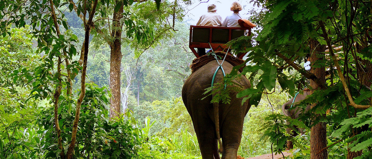 Vietnam Essential Cycling Adventure