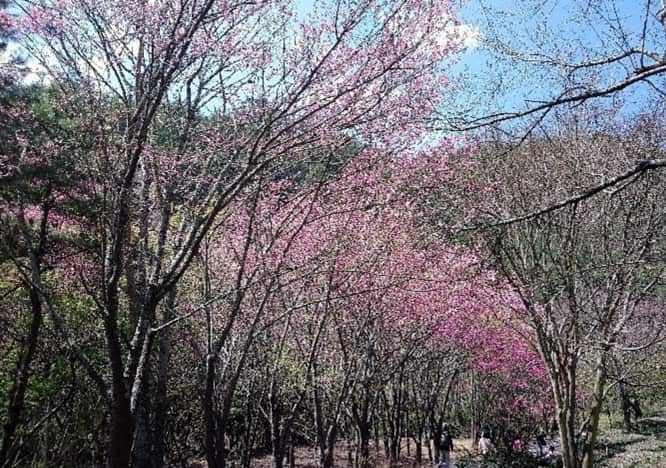 Best time to visit Taiwan
