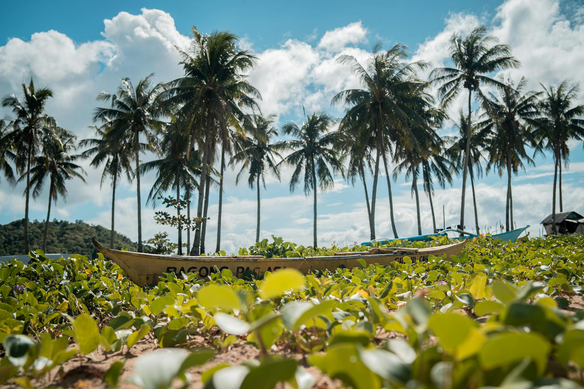 Things to Do in the Philippines