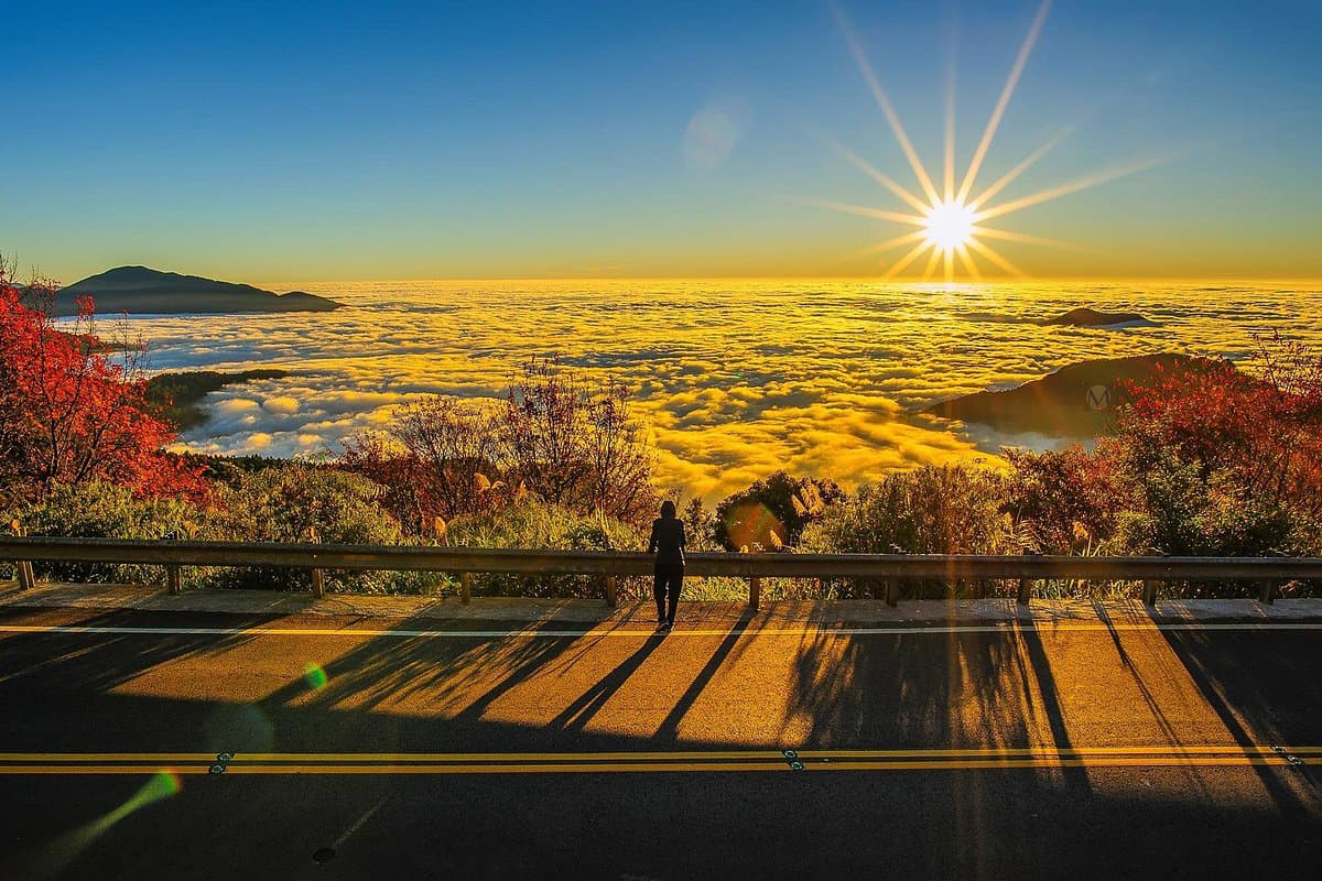Taiwan