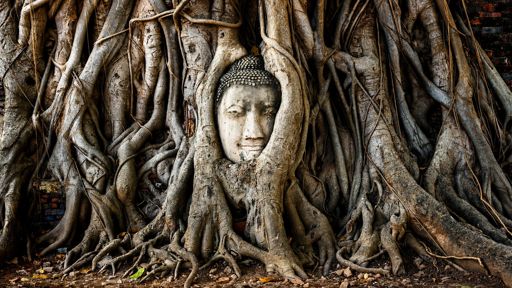 Bangkok - Ayutthaya