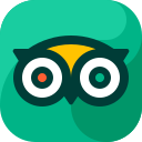 on Tripadvisor